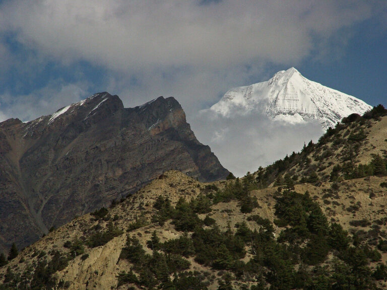 Chulu East Peak Climbing