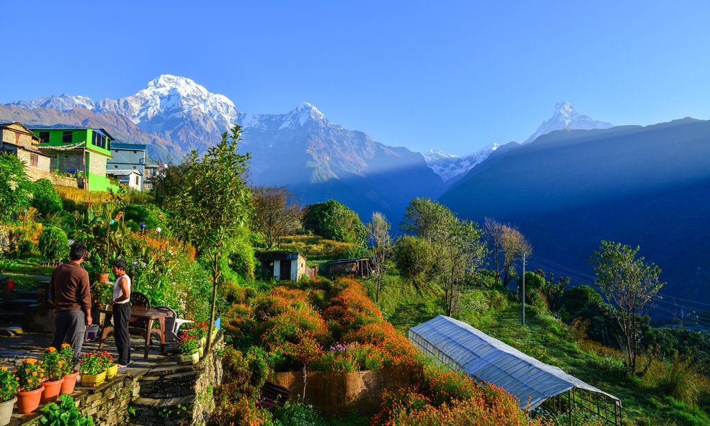 trekking poon hill